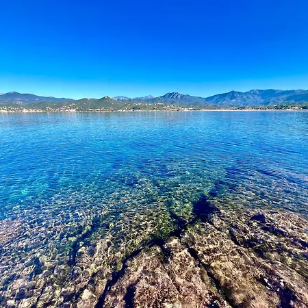 Padovani Marina *