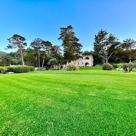 Lejlighed Padovani Marina