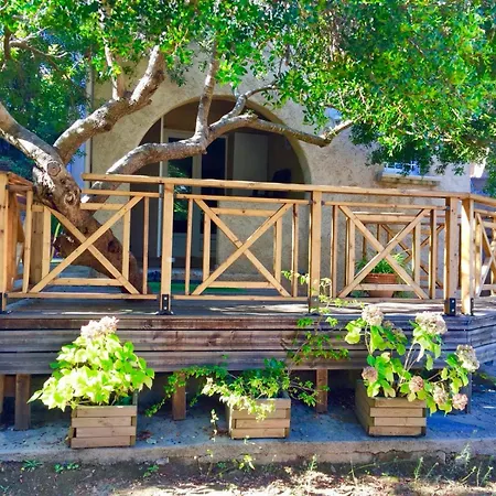 Padovani Marina * Calcatoggio (Corsica)