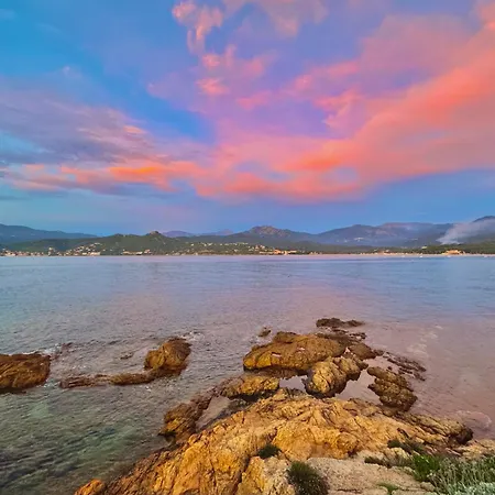 Appartamento Padovani Marina Calcatoggio (Corsica)