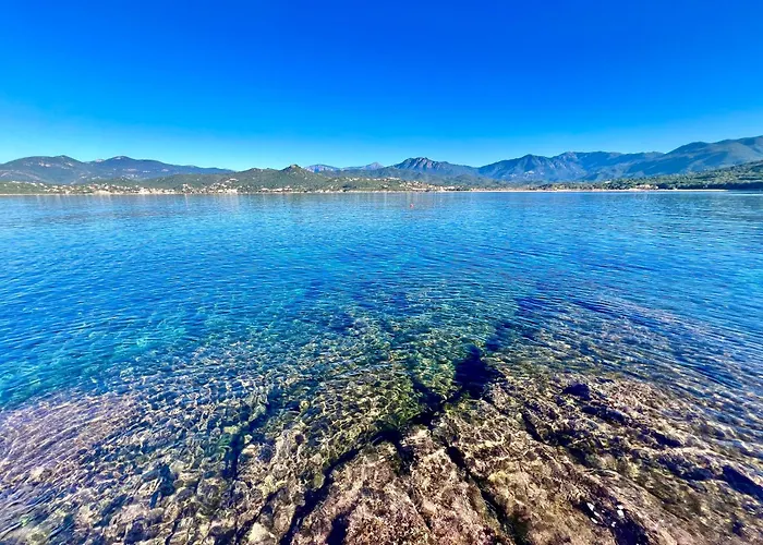 Padovani Marina *