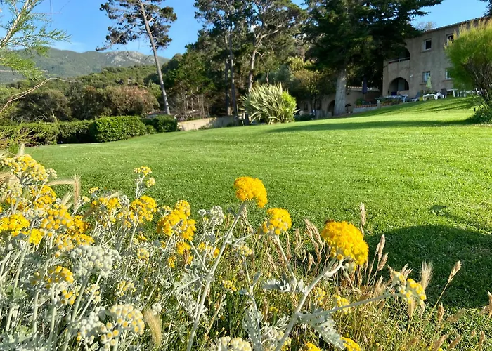 Padovani Marina Appartement *